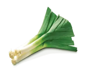 leek